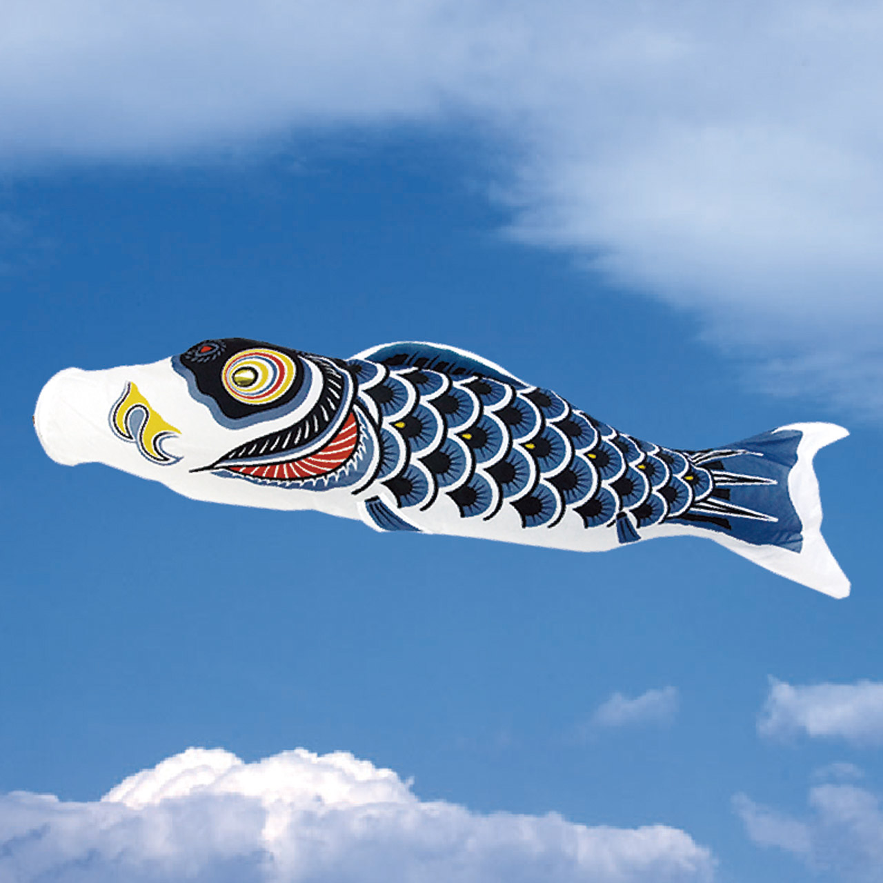 Single Koi Black
