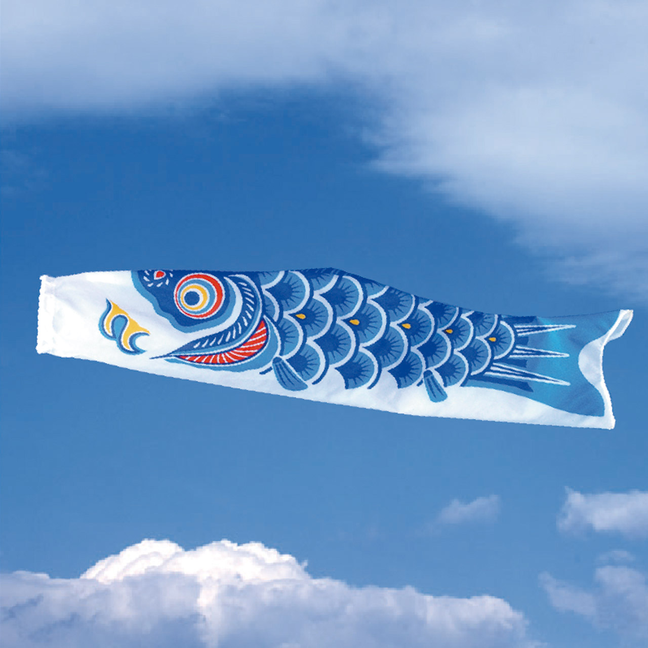 Single Koi Blue