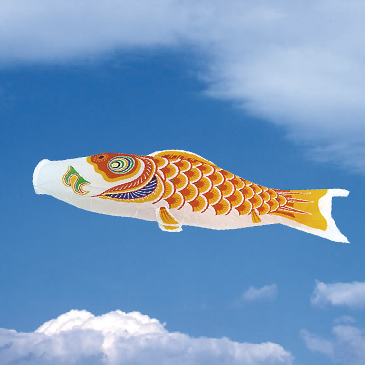 Single Koi Orange