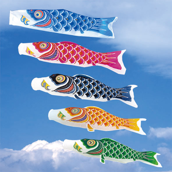 Single Koi